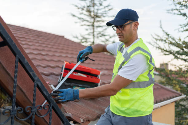 Best Basement Insulation  in Diberville, MS